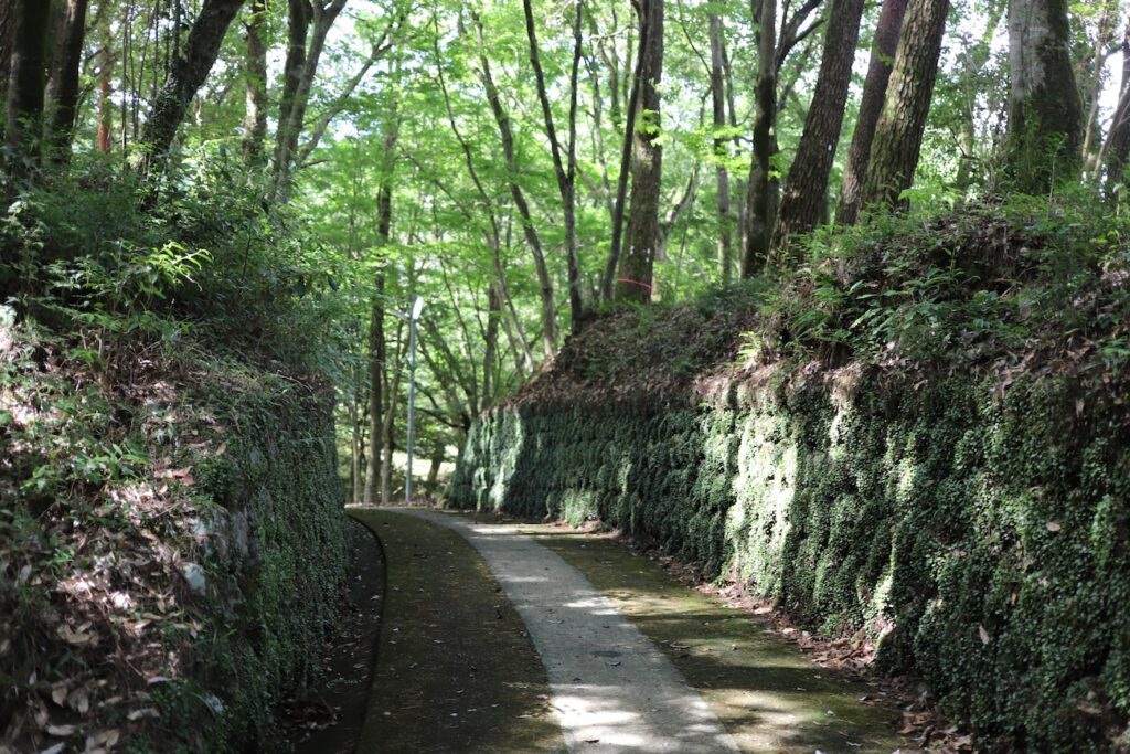 Shaded forest pathway lined with moss-covered stone walls.