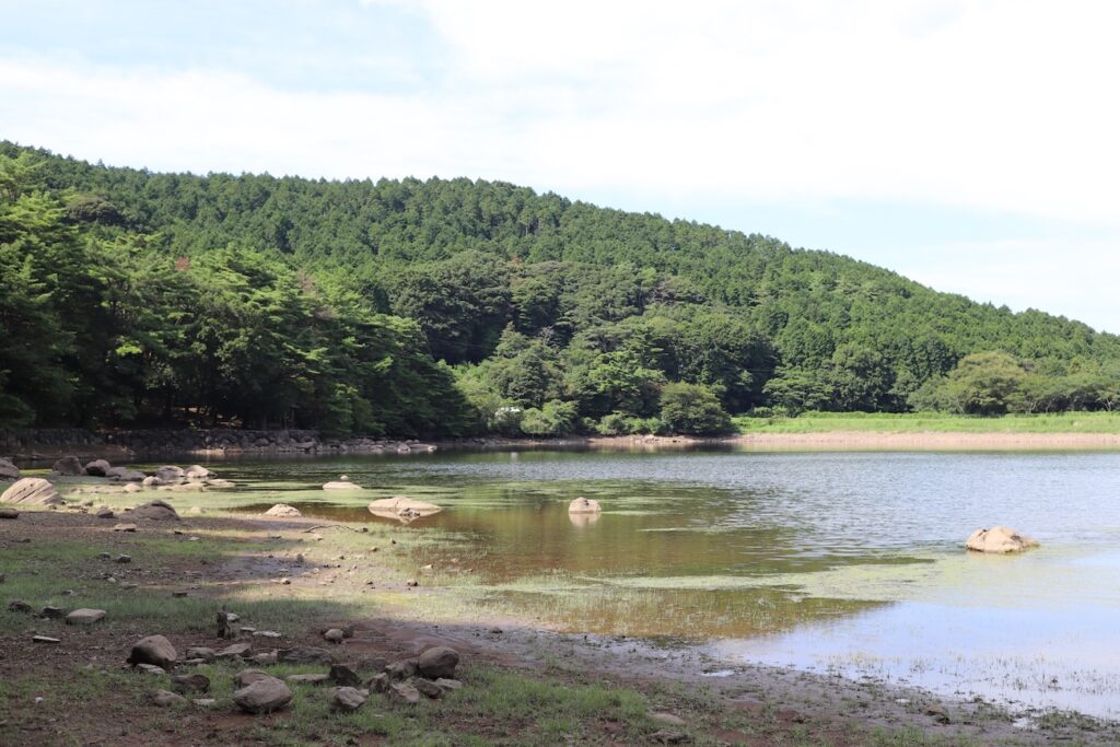 View of the calm lake surrounded by dense green forest.