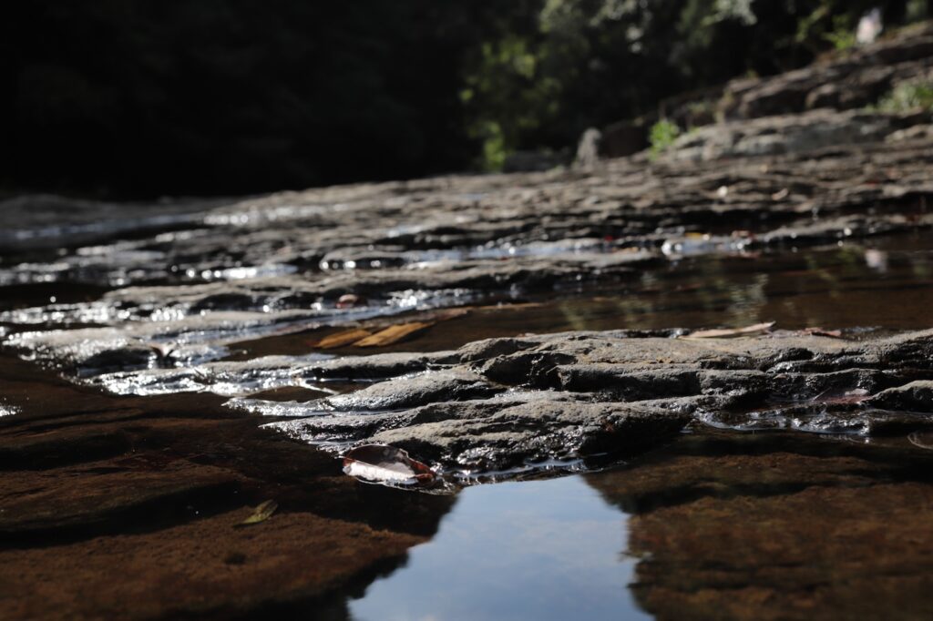 Shallow stream running gently over rocks