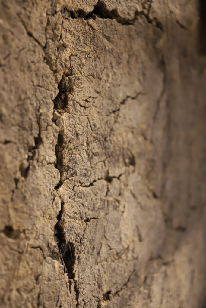 Close-up of an old earthen wall with visible cracks inside Mitsutake Sake Brewery in Kashima, Saga.